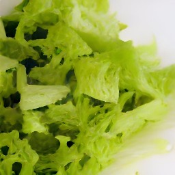 chopped lettuce leaves.