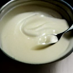a yogurt mixture.
