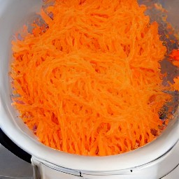 the food processor will output grated carrots.