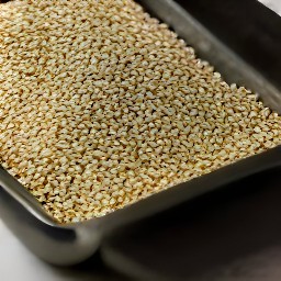 toasted sesame seeds.