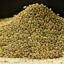 crushed coriander seeds.