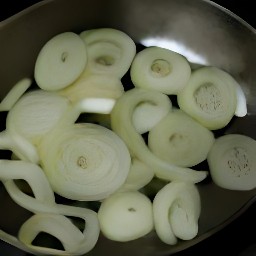 an onion mixture.