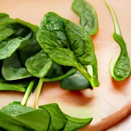 a bowl of spinach that has been rinsed and squeezed.