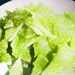 the output is a bowl of shredded boston lettuce.