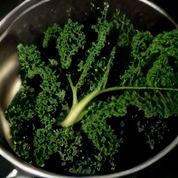 a rinsed kale.