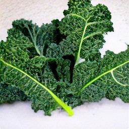 the kale is drained on a paper towel.