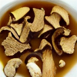 a porcine mushroom mixture.