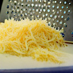 the output is shredded parmesan cheese.