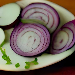 chopped coriander and then a peeled and sliced red onion.