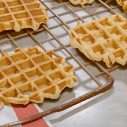 

Deliciously light European-style waffles made from soy flour and whole milk, with eggs for added richness - gluten- and nut-free!