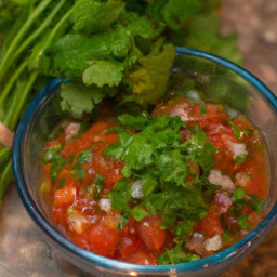

This vegan, nuts-free, gluten-free and eggs-free Mexican salsa with cilantro is made from fresh tomatoes for a delicious lactose-free dressing.
