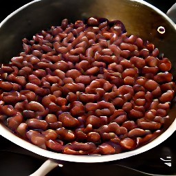 toasted red kidney beans.