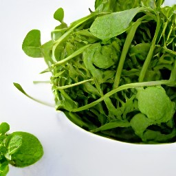 a large bowl of salad greens with olive oil, salt, and black pepper.