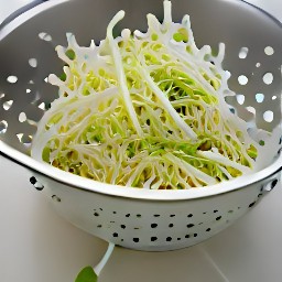 the baby greens and bean sprouts are rinsed and drained in a colander.