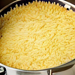 the pasta drained of water.