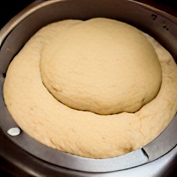 the bread machine will mix the ingredients together and produce a dough.