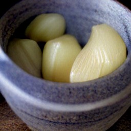 a paste made from the crushed garlic.