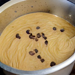 a chocolate chip batter.
