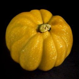 the acorn squash peeled and the peel discarded.