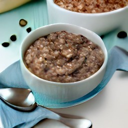 a bowl of chocolate oatmeal.