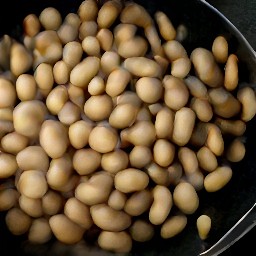toasted pine nuts.