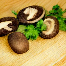 sliced portabella mushrooms and chopped coriander.