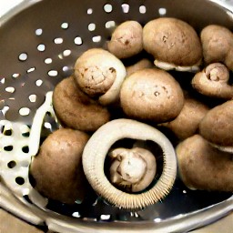 the portabella mushrooms are drained in a colander.