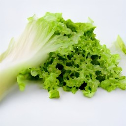 shredded lettuce.