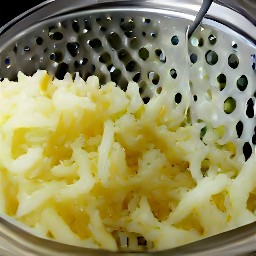 the output is garlic that has been grated into small pieces.