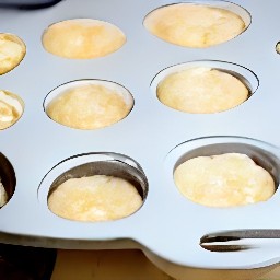 the batter will fill two thirds of the muffin pan.
