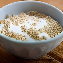 a bowl of cooked amaranth with ground cinnamon and agave syrup, topped with coconut milk.
