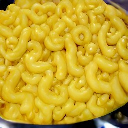 cooked macaroni pasta.