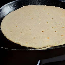 the corn tortillas toasted for 3 minutes.
