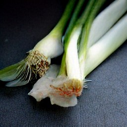 green onion slices.