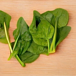the baby spinach leaves are stemless.