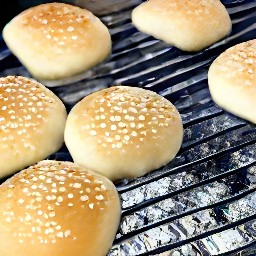 toasted burger buns.