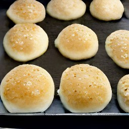 a burger with a bun that has been melted and then grilled for four minutes. the surface of the pan is then cleaned with a towel before adding vegetable oil and meatless burgers patties. the burgers are seasoned