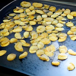 toasted pumpkin seeds.