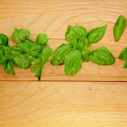 the result of tearing the basil is an action.