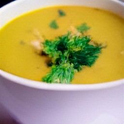 the soup is transferred to a bowl and sprinkled with chopped cilantro.