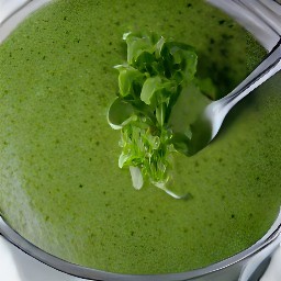 a watercress and celeriac soup.