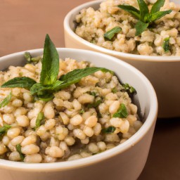 

This delicious, gluten-free Italian lunch of flavoured barley risotto with fava beans is made from freshly chopped onions and vegetable broth for a nutritious meal.