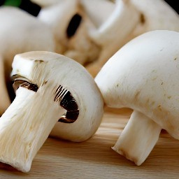 a sliced white mushroom.