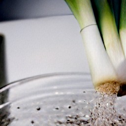 leeks that have been rinsed.