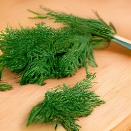 chopped fresh dill.