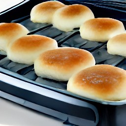 toasted burger buns.