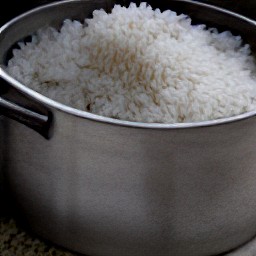 cooked white rice.