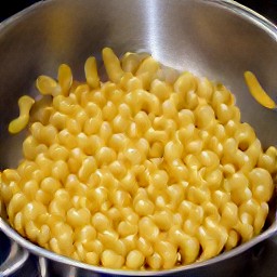 cooked pasta.